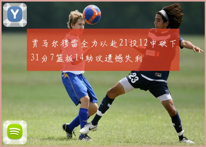 贾马尔穆雷全力以赴21投12中砍下31分7篮板14助攻遗憾失利