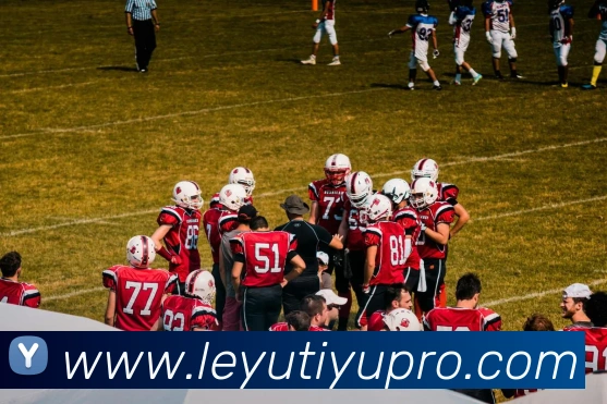 乐鱼体育平台生态图