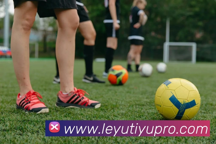 乐鱼体育全站App